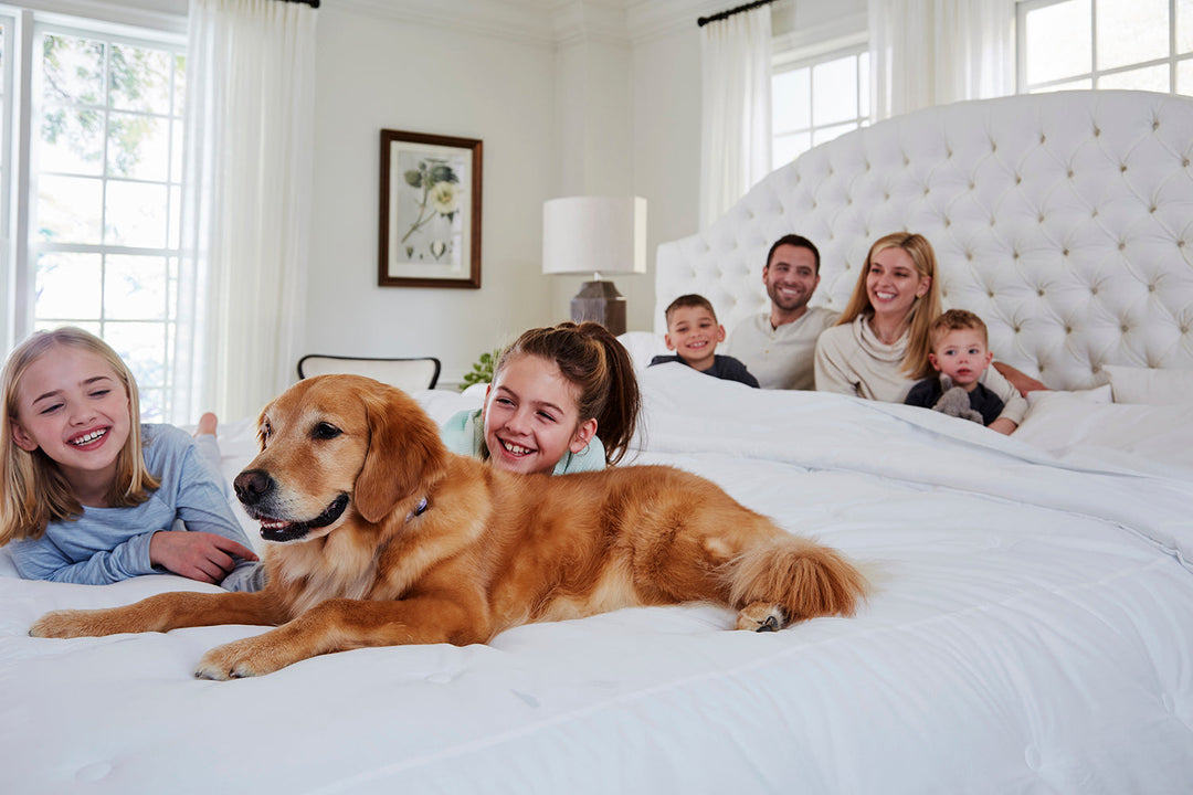 Comfortable Co-Sleeping: How an Alaskan King Bed Can Help Parents & Kids Sleep Better