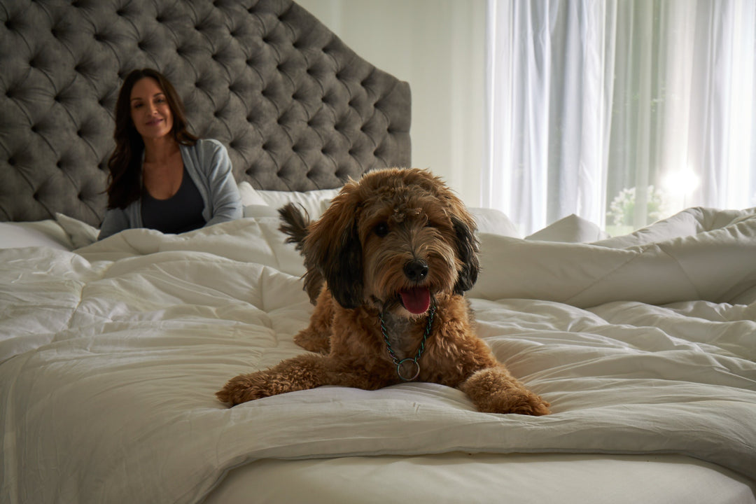 Alaskan King Beds Help You Host Guests in Style