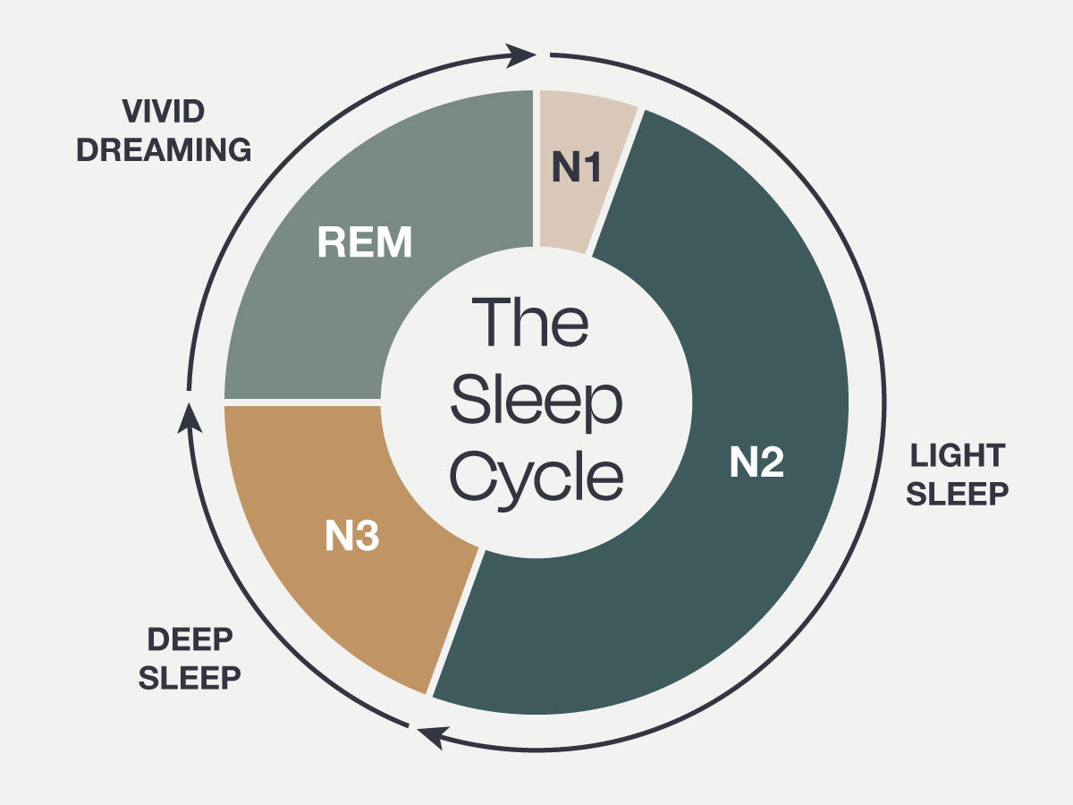 Overview of the Different Stages Of Your Regular Sleep Cycle
