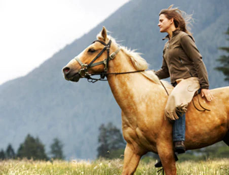 Fun Activities You Can Do This Fall Season