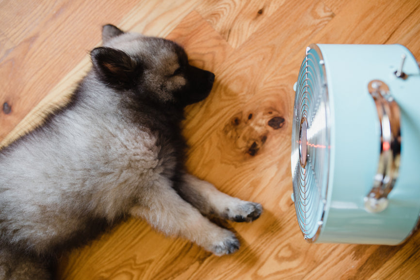 Should You Sleep With A Fan On?